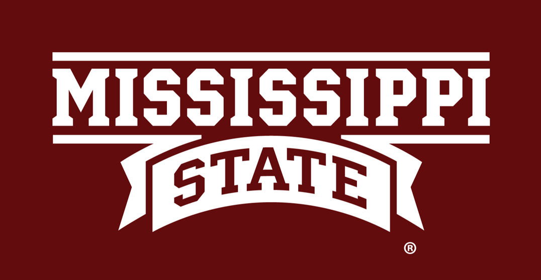 Mississippi State Bulldogs 2009-Pres Wordmark Logo v2 diy DTF decal sticker